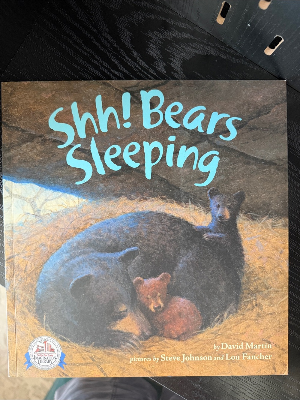 Shh! Bears Sleeping Illustrated Bedding Accent Pillow Cover - Blue